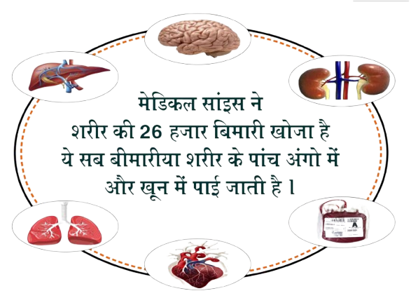 Ayurveda Disease Root Concept